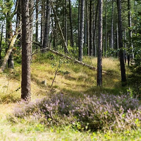 Сasa de vacaciones 0196-romo-sukkertoppen-12 *