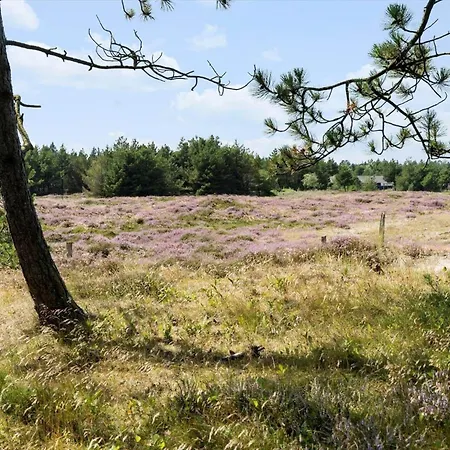 0196-romo-sukkertoppen-12 * Kongsmark