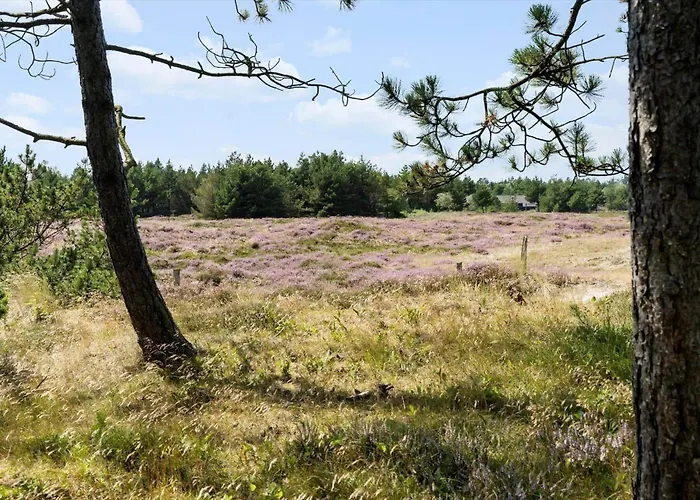 0196-romo-sukkertoppen-12 * Kongsmark