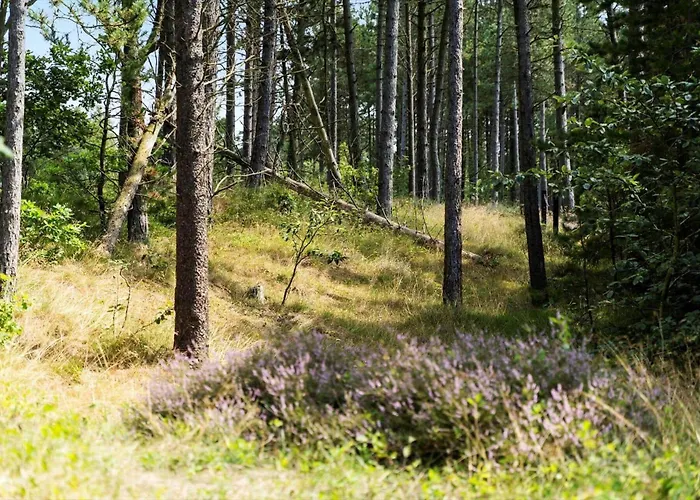 Сasa de vacaciones 0196-romo-sukkertoppen-12 Kongsmark